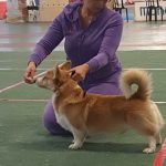 IMG-20200118-WA0000